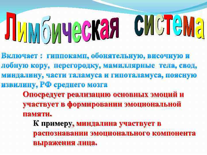 Включает : гиппокамп, обонятельную, височную и лобную кору, перегородку, мамиллярные тела, свод, миндалину, части