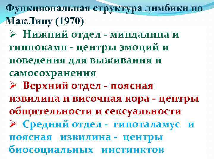 Функциональная структура лимбики по Мак. Лину (1970) Ø Нижний отдел - миндалина и гиппокамп