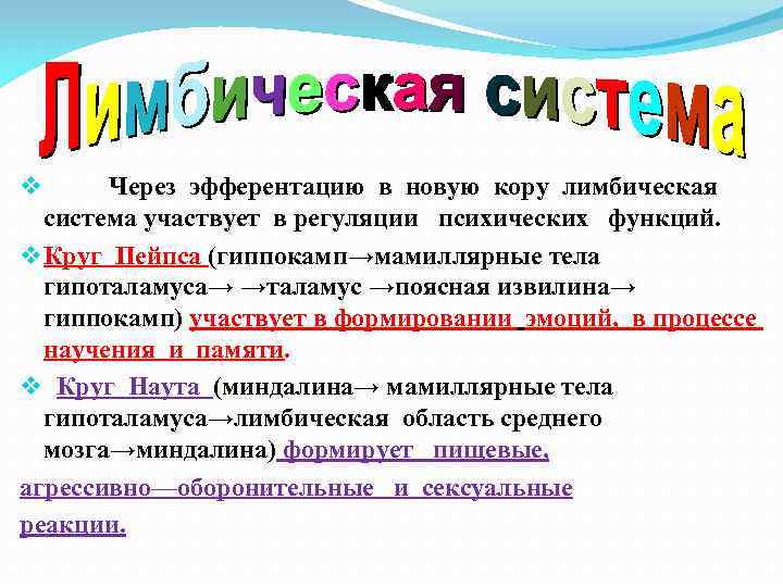 Через эфферентацию в новую кору лимбическая система участвует в регуляции психических функций. v Круг