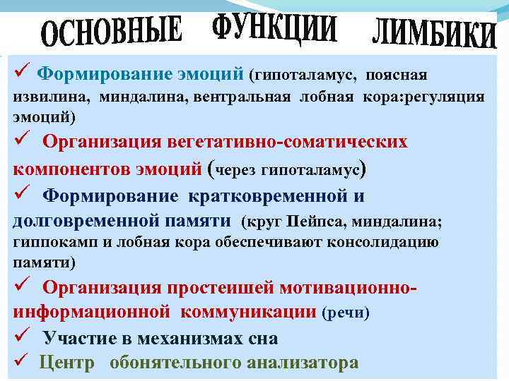 ü Формирование эмоций (гипоталамус, поясная извилина, миндалина, вентральная лобная кора: регуляция эмоций) ü Организация