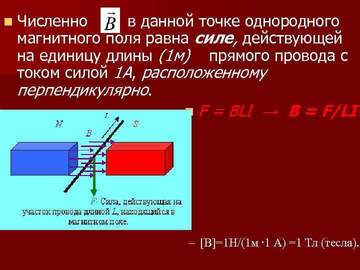 n Численно в данной точке однородного магнитного поля равна силе, действующей на единицу длины