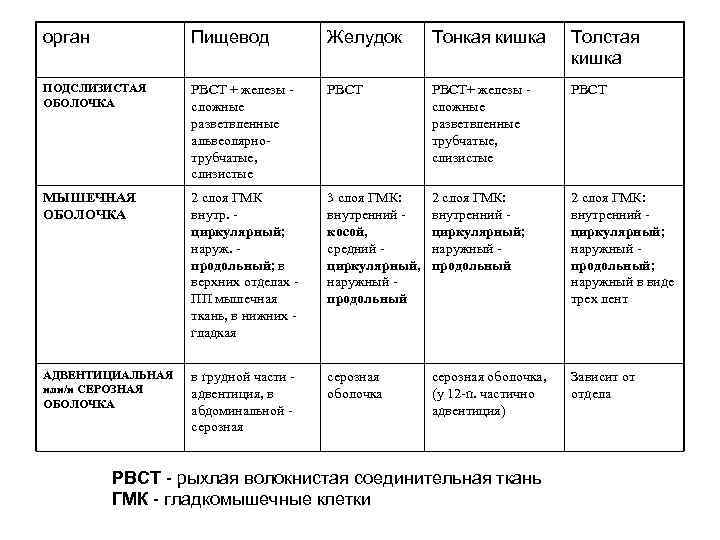 орган Пищевод Желудок Тонкая кишка Толстая кишка ПОДСЛИЗИСТАЯ ОБОЛОЧКА РВСТ + железы сложные разветвленные