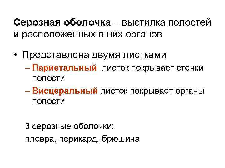 Серозная оболочка – выстилка полостей и расположенных в них органов • Представлена двумя листками