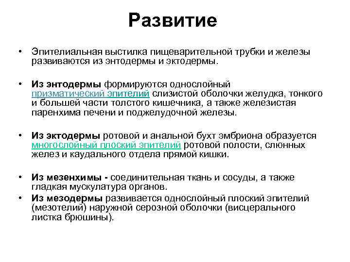 Развитие • Эпителиальная выстилка пищеварительной трубки и железы развиваются из энтодермы и эктодермы. •