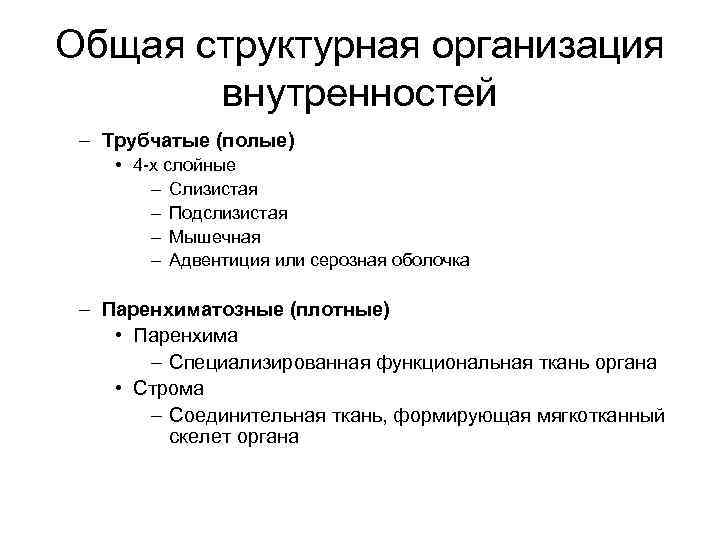 Общая структурная организация внутренностей – Трубчатые (полые) • 4 -х слойные – Слизистая –