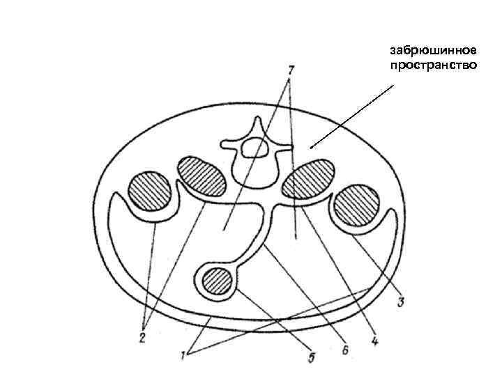 забрюшинное пространство 