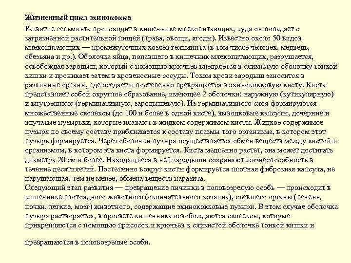 Жизненный цикл эхинококка Развитие гельминта происходит в кишечнике млекопитающих, куда он попадает с загрязненной