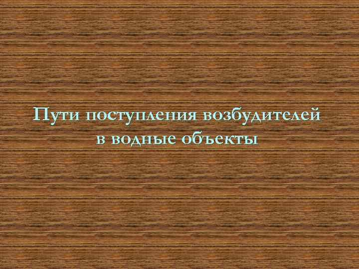 Пути поступления возбудителей в водные объекты 