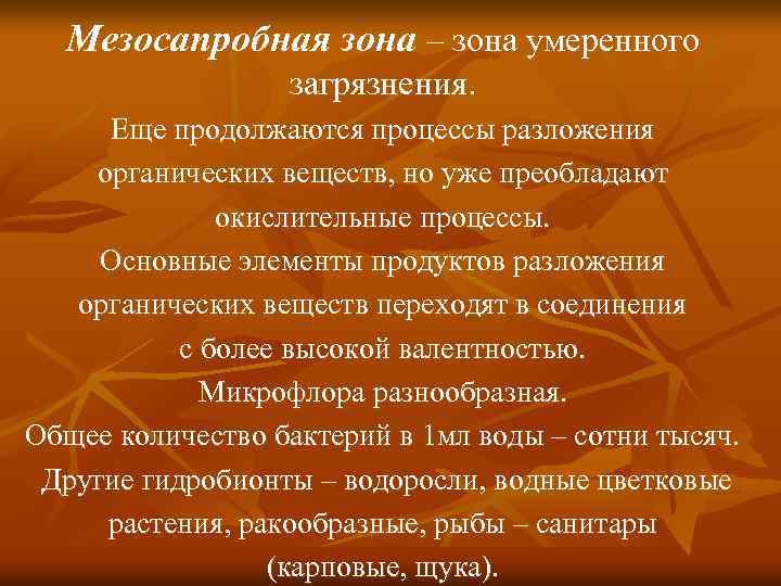 Мезосапробная зона – зона умеренного загрязнения. Еще продолжаются процессы разложения органических веществ, но уже