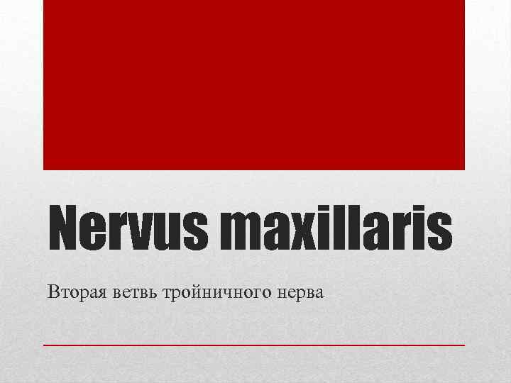 Nervus maxillaris Вторая ветвь тройничного нерва 