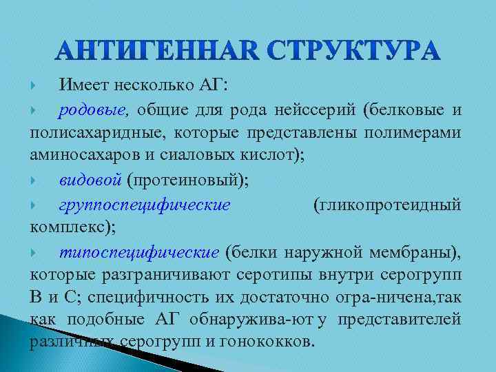 Имеет несколько АГ: родовые, общие для рода нейссерий (белковые и полисахаридные, которые представлены полимерами