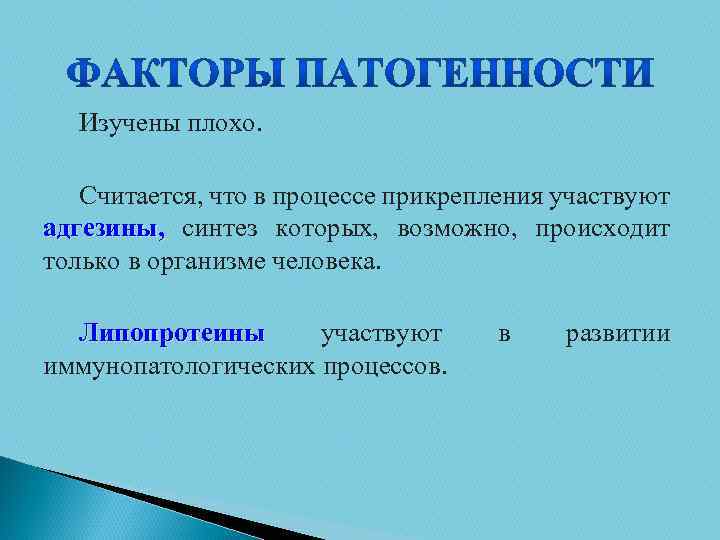 Изучены плохо. Считается, что в процессе прикрепления участвуют адгезины, синтез которых, возможно, происходит только