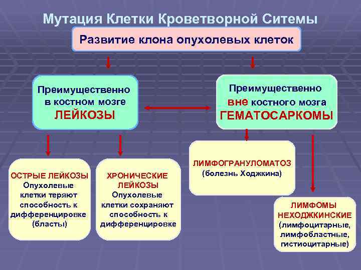 Мутация Клетки Кроветворной Ситемы Развитие клона опухолевых клеток Преимущественно в костном мозге Преимущественно вне