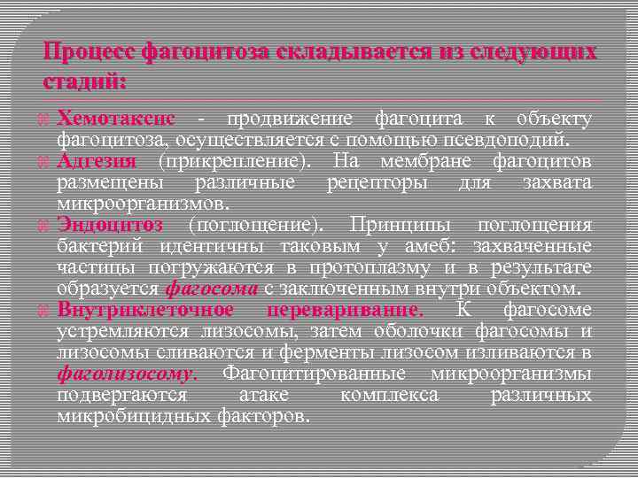 Процесс фагоцитоза складывается из следующих стадий: Хемотаксис - продвижение фагоцита к объекту фагоцитоза, осуществляется