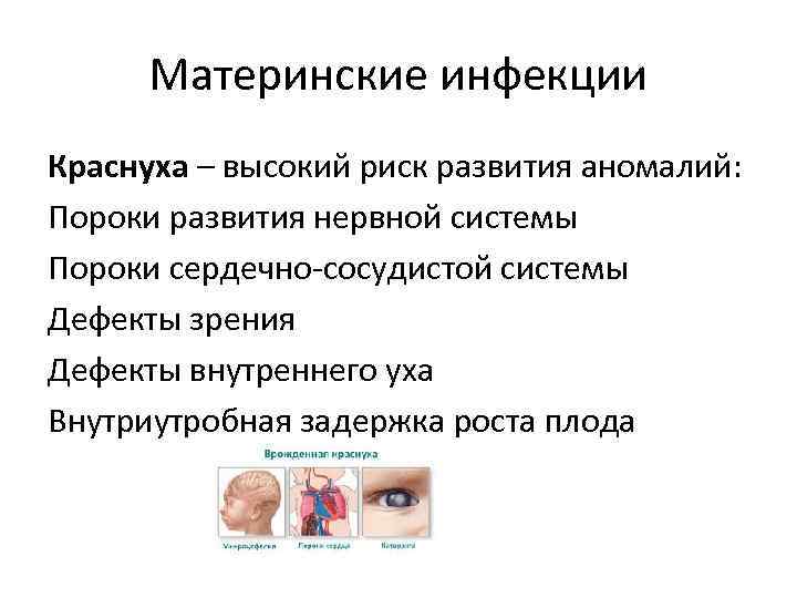 Материнские инфекции Краснуха – высокий риск развития аномалий: Пороки развития нервной системы Пороки сердечно-сосудистой