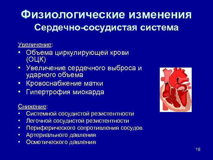 Физиологические изменения в организме при беременности презентация