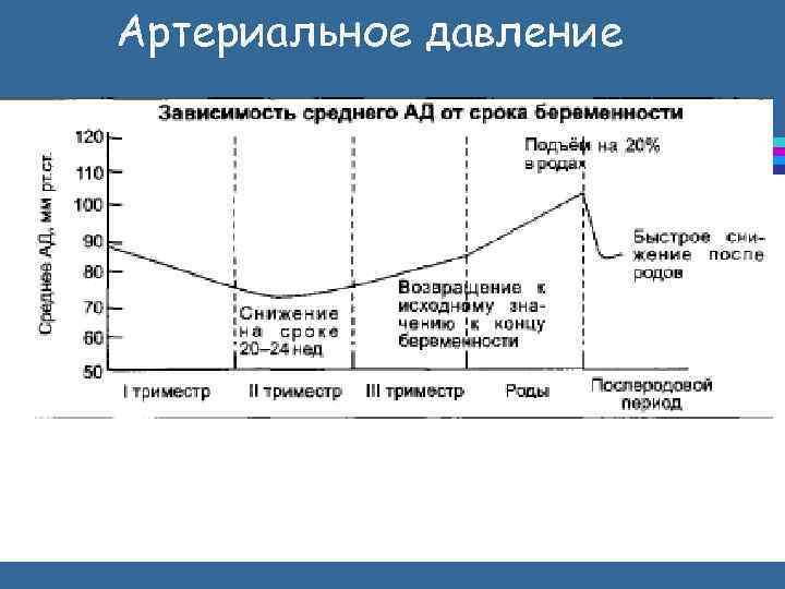 Артериальное давление 