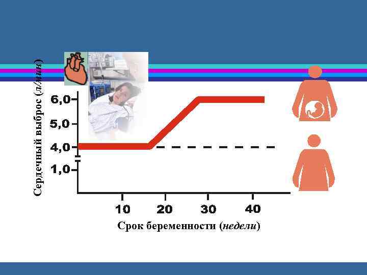 Сердечный выброс (л/мин) Срок беременности (недели) 