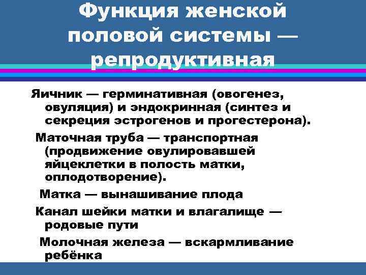 Функция женской половой системы — репродуктивная Яичник — герминативная (овогенез, овуляция) и эндокринная (синтез