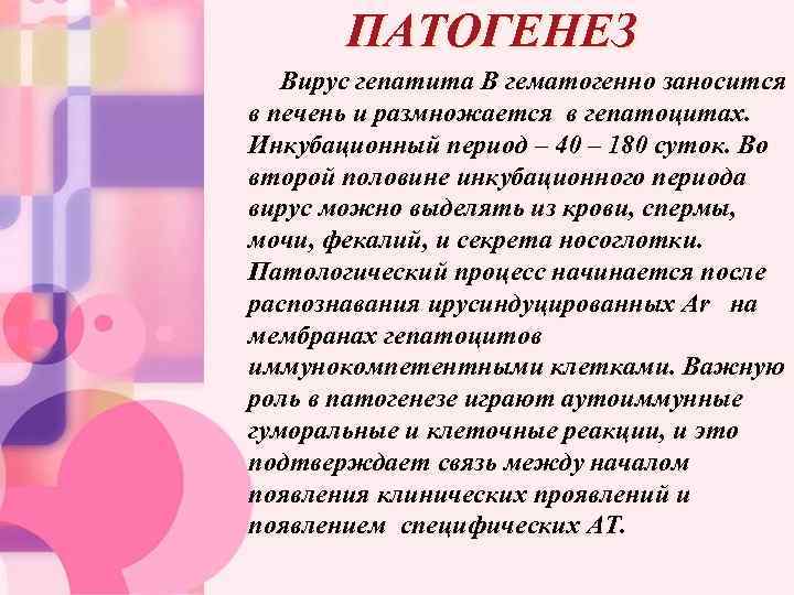ПАТОГЕНЕЗ Вирус гепатита В гематогенно заносится в печень и размножается в гепатоцитах. Инкубационный период