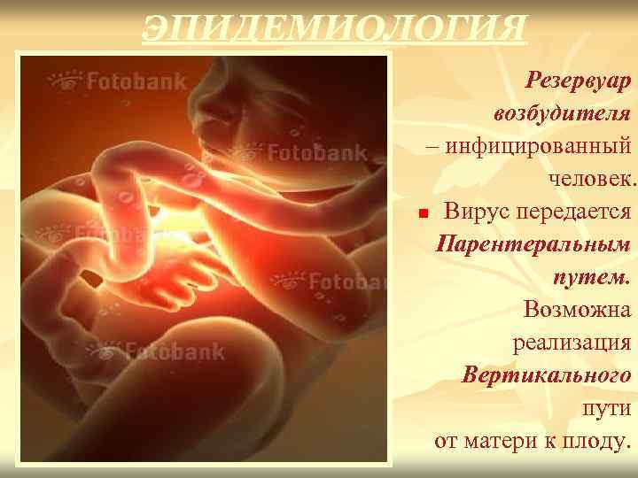 ЭПИДЕМИОЛОГИЯ Резервуар возбудителя – инфицированный человек. n Вирус передается Парентеральным путем. Возможна реализация Вертикального