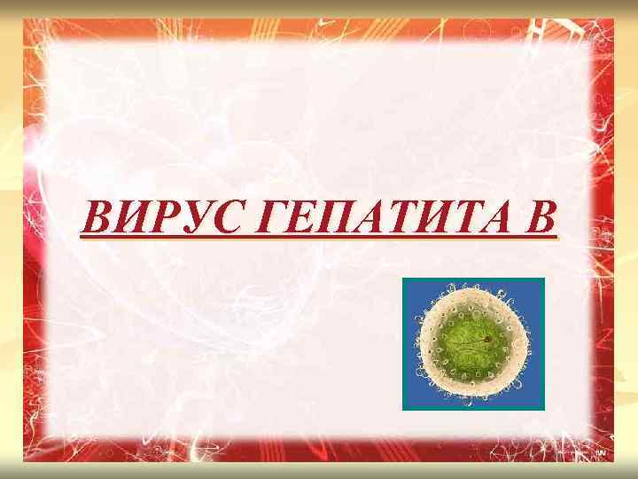 ВИРУС ГЕПАТИТА B 