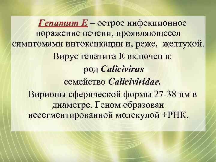Гепатит Е – острое инфекционное поражение печени, проявляющееся симптомами интоксикации и, реже, желтухой. Вирус