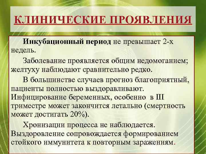 КЛИНИЧЕСКИЕ ПРОЯВЛЕНИЯ Инкубационный период не превышает 2 -х недель. Заболевание проявляется общим недомоганием; желтуху