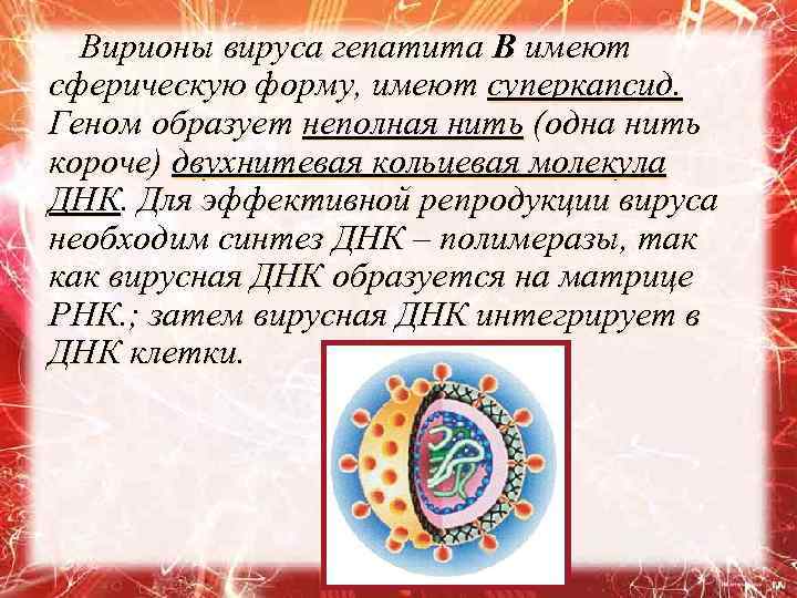 Вирионы вируса гепатита В имеют сферическую форму, имеют суперкапсид. Геном образует неполная нить (одна
