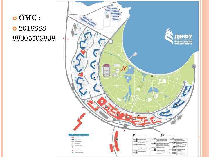 ОМС : 2018888 88005503838 