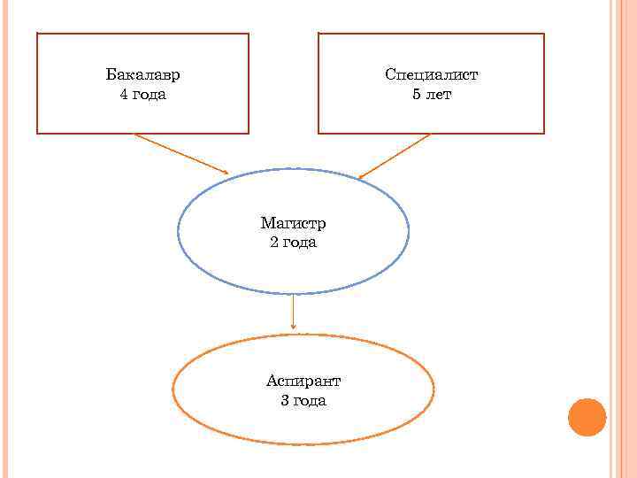 Бакалавр 4 года Специалист 5 лет Магистр 2 года Аспирант 3 года 