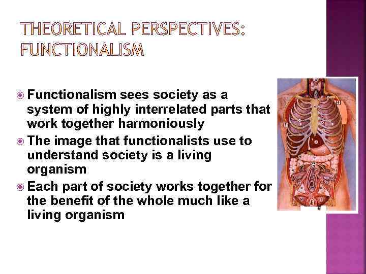  Functionalism sees society as a system of highly interrelated parts that work together