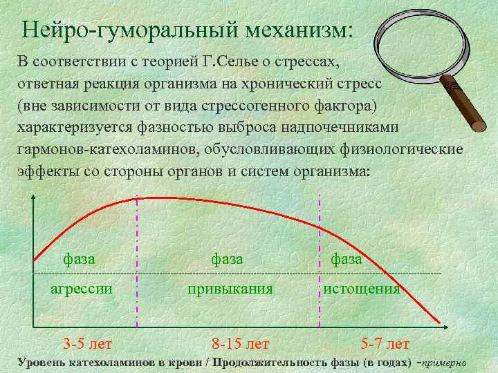 Нейро-гуморальный механизм: В соответствии с теорией Г. Селье о стрессах, ответная реакция организма на