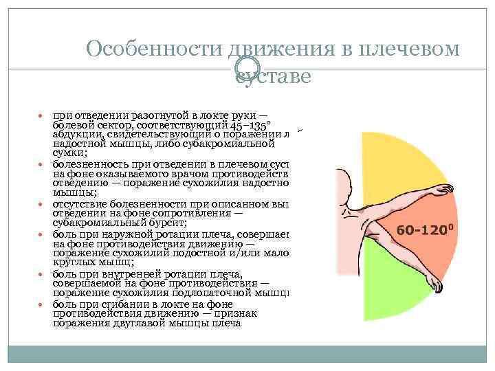 Особенности движения в плечевом суставе при отведении разогнутой в локте руки — болевой сектор,