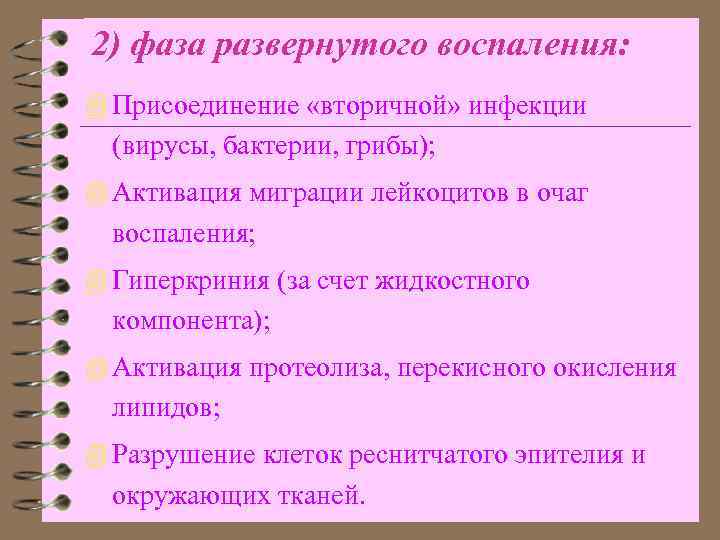 2) фаза развернутого воспаления: 4 Присоединение «вторичной» инфекции (вирусы, бактерии, грибы); 4 Активация миграции