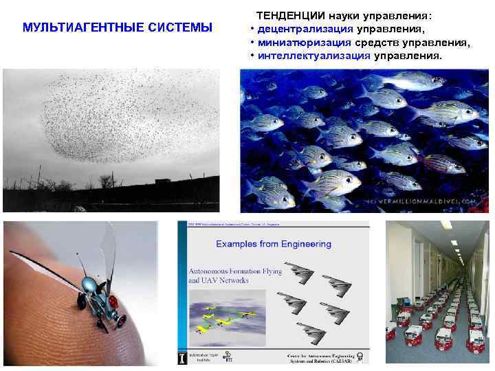 МУЛЬТИАГЕНТНЫЕ СИСТЕМЫ ТЕНДЕНЦИИ науки управления: • децентрализация управления, • миниатюризация средств управления, • интеллектуализация