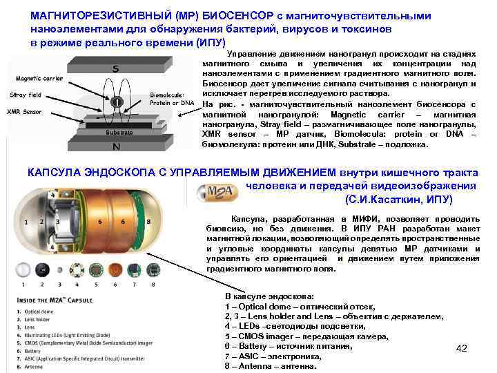 МАГНИТОРЕЗИСТИВНЫЙ (МР) БИОСЕНСОР с магниточувствительными наноэлементами для обнаружения бактерий, вирусов и токсинов в режиме