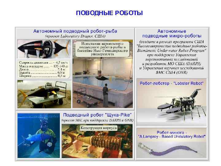 ПОВОДНЫЕ РОБОТЫ 