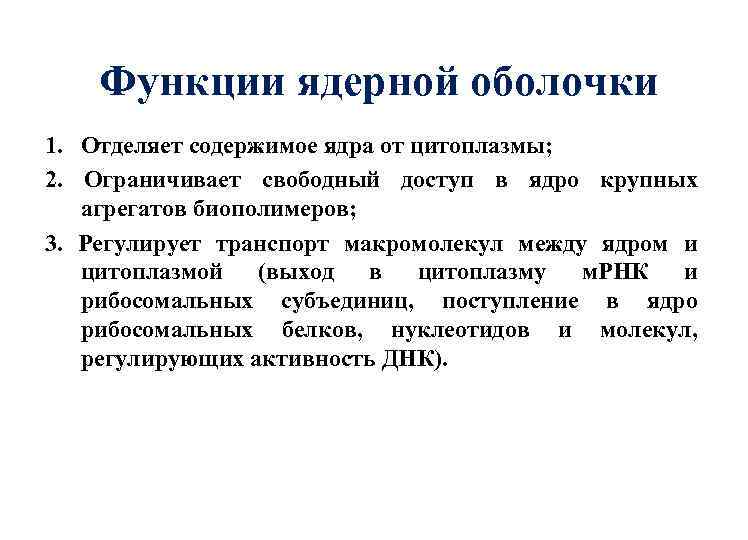 Функции ядерной оболочки 1. Отделяет содержимое ядра от цитоплазмы; 2. Ограничивает свободный доступ в