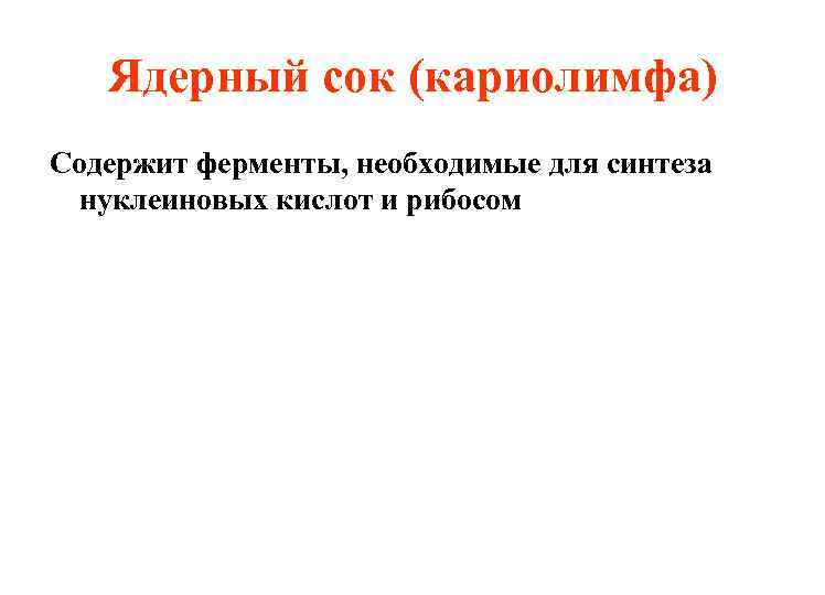 Ядерный сок (кариолимфа) Содержит ферменты, необходимые для синтеза нуклеиновых кислот и рибосом 