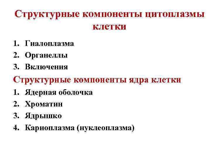 Структурные компоненты цитоплазмы клетки 1. Гиалоплазма 2. Органеллы 3. Включения Структурные компоненты ядра клетки