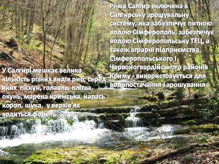 Річка Салгир включена в Салгирську зрошувальну систему, яка забезпечує питною водою Сімферополь, забезпечує водою