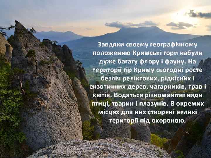 Завдяки своєму географічному положенню Кримські гори набули дуже багату флору і фауну. На території