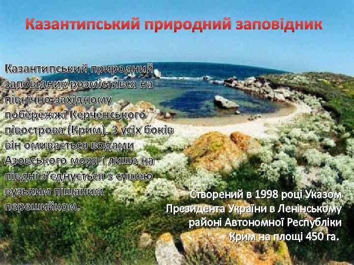 Казантипський природний заповідник розмістився на північно-західному побережжі Керченського півострова (Крим). З усіх боків він