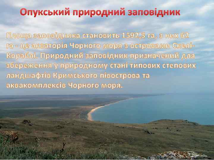 Опукський природний заповідник Площа заповідника становить 1592, 3 га, з них 62 га -