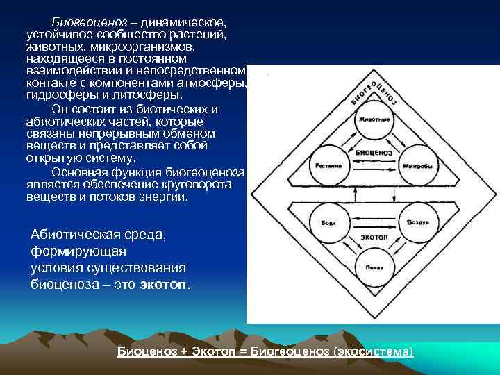 Биогеоценоз – динамическое, устойчивое сообщество растений, животных, микроорганизмов, находящееся в постоянном взаимодействии и непосредственном