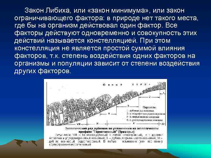 Закон Либиха, или «закон минимума» , или закон ограничивающего фактора: в природе нет такого