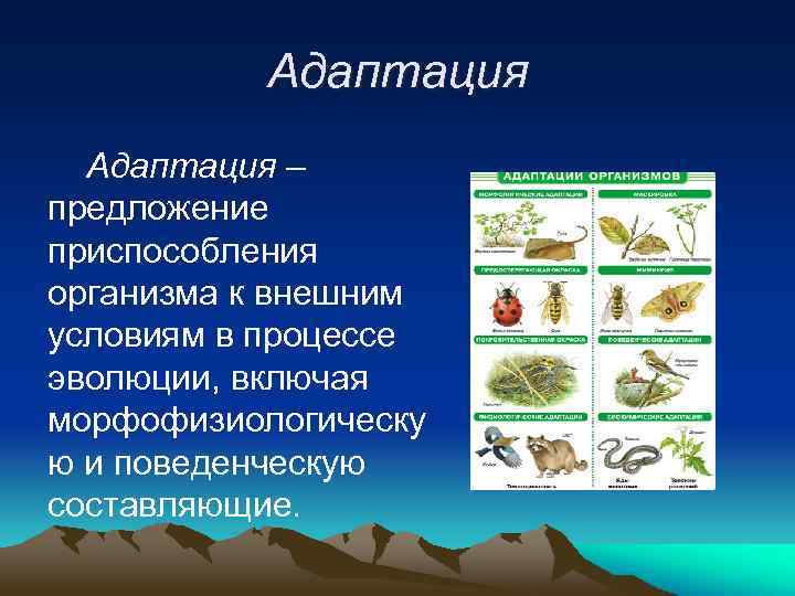 Приспособление организма к условиям