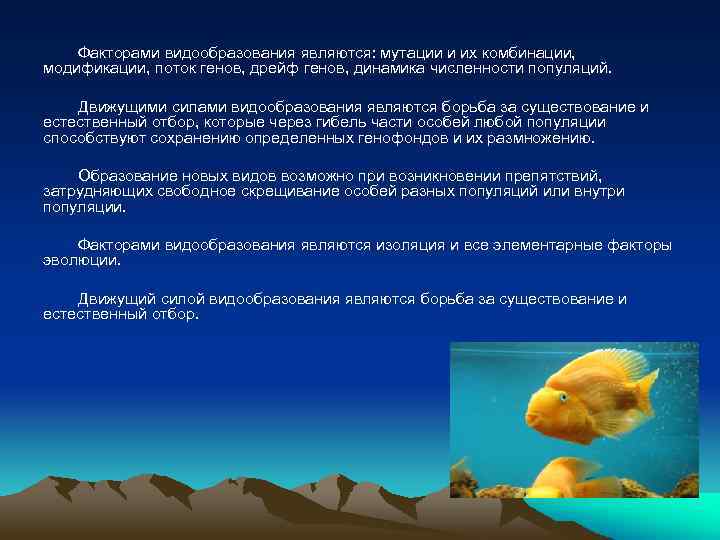 Факторами видообразования являются: мутации и их комбинации, модификации, поток генов, дрейф генов, динамика численности
