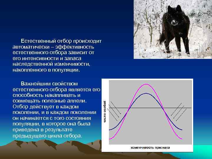 Диаграмма естественного отбора